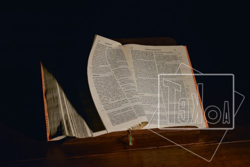 tekoaphotos,bible,parole de dieu,saintes,écritures,écriture